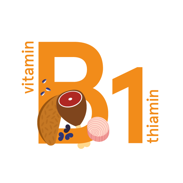 Thiamin (vitamin B1): foods, functions, how much do you need & more